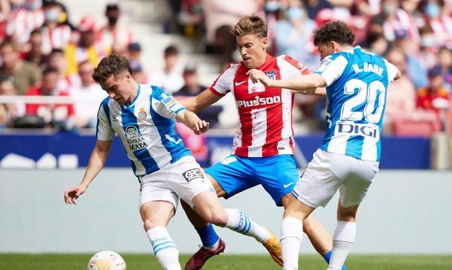 近期训练场 近期训练场