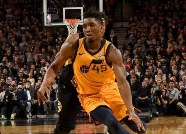 动和观赏功 动和观赏功